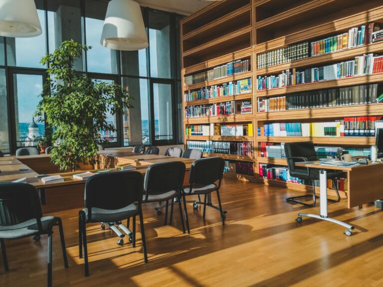 Sunlit library room with wooden shelves, books, and modern chairs in Cluj-Napoca.
